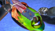 character:tim_avery grape id nas:son_of_the_mask // 692x394 // 493KB